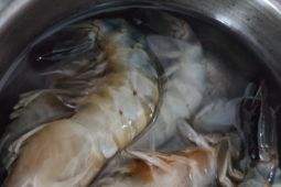 Harga udang segar di Banjarmasin melambung pada Ramadhan 1444 H