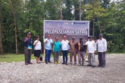 BBKSDA Papua lepasliarkan 20 satwa dilindungi di Hutan Kuala Kencana
