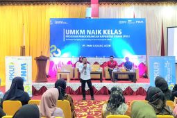 PNM perluas jaringan tingkatkan pembiayaan UMKM di Aceh