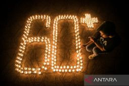 WWF ajak warga dunia matikan lampu satu jam pada 23 Maret