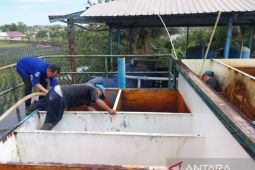 Tingkatkan Kualitas Air Ke Pelanggan, Perumda Tirta Pinang Optimalkan Pelayanan