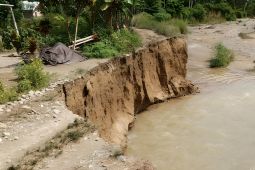 BPBD: Belasan rumah warga di Parigi Moutong  terendam banjir