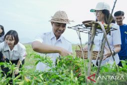 Pemkab Badung antisipasi permintaan cabai naik saat bulan Ramadhan