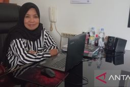 Damri Pangkalpinang siapkan 12 armada penuhi angkutan lebaran Idul Fitri 1444 Hijriah