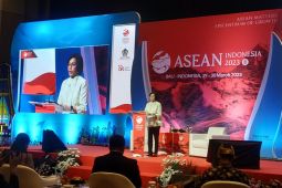 Menkeu nilai UMKM berperan tingkatkan ekonomi di kawasan ASEAN