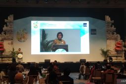 Menkeu sebut Indonesia kucurkan Rp313 triliun investasi kurangi emisi karbon