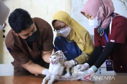 Mudahkan masyarakat, Puskeswan Kota Tangerang sediakan layanan panggil ke rumah