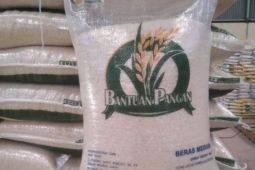 Bapanas sebut penyaluran bantuan pangan beras dimulai hari Jumat ini