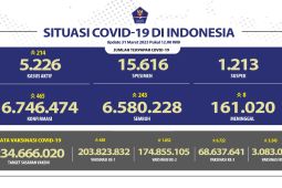 Angka kesembuhan COVID-19 di Indonesia bertambah 243 orang