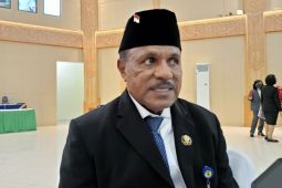 Papua Barat usul peremajaan sawit lima ribu hektare di Manokwari