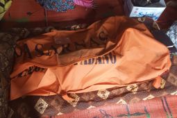 Korban diterkam buaya di Pasaman Barat ditemukan tewas