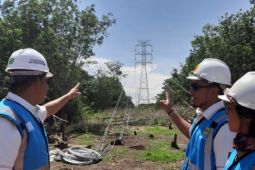 PLN targetkan 11 ribu pemasangan listrik baru di daerah 3T Kalbar