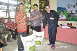 Kalbar dorong percepatan tanam padi sikapi potensi el nino