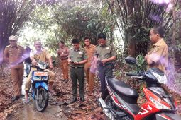 Beruang terkam warga Tabalong, Tim Satgas BKSDA tindak lanjuti