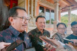 Wagub Bali: Libur Lebaran dongkrak kunjungan wisnus hingga 20 persen