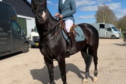Natasha termotivasi usai hasil apik di kejuaraan "spring equestrian festival"