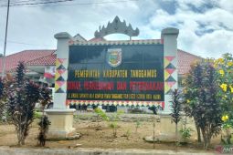 Disbunnak Tanggamus sebut harga kakao mencapai Rp30 ribu per kg