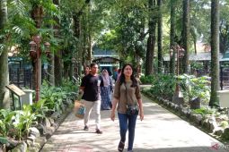 PDTS KBS detailkan sistem reservasi operasional "Surabaya Night Zoo"