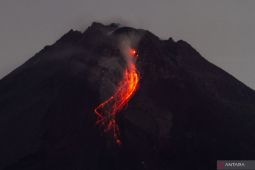Merapi beberapa kali meluncurkan guguran lava pijar