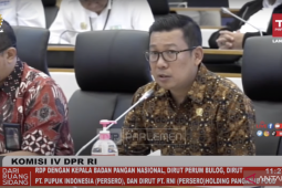 Badan pangan tegaskan impor beras tidak jatuhkan harga di petani