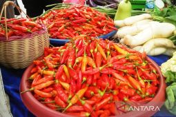 TPID Kaltim kuatkan sinergi  tekan inflasi