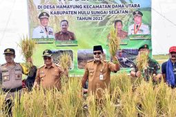 South Kalimantan develops floating rice on styrofoam