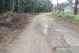 Pemda Mukomuko alokasikan Rp18,4 miliar bangun jalan pedesaan