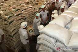 Stok beras di Banyuwangi