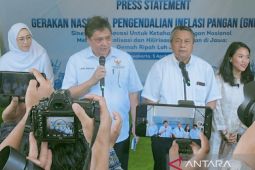 Airlangga: Pemerintah inginkan produktivitas pertanian meningkat