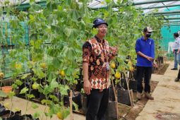 Indocement kedepankan kepedulian pada lingkungan melalui pengembangan P4M