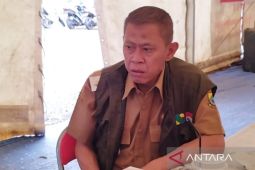 Wakil Bupati: Jalur mudik Cianjur laik dilalui pemudik