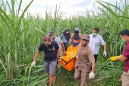 Polisi tahan suami ibu melahirkan di kebun tebu