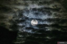 BRIN imbau publik tak terpancing komentar viral pakar astronomi