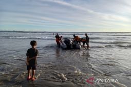 Tiga anak hanyut saat mandi di Pantai Pasir Putih Bengkulu