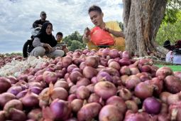 Pedagang antar pulau dari Pemangkat pemasok kebutuhan masyarakat