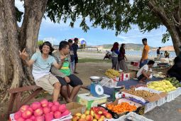 Pedagang antar pulau: Untung kecil tapi dagangan cepat laku