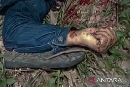 Kriminal Kalsel kemarin, buru otak pembunuhan tambang batubara-sabu disemak belukar