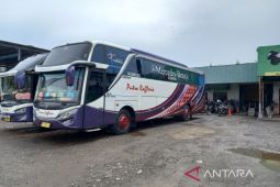 Organda Bengkulu umumkan harga tiket bus angkutan mudik