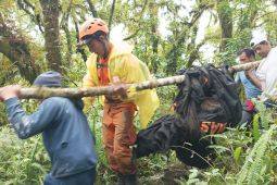 Tim SAR evakuasi warga meninggal serangan jantung di Kintamani