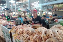 Daging ayam ras di Jember meningkat dua pekan jelang Lebaran