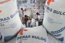 Sebanyak 141.588 KPM di Probolinggo dapat bantuan pangan beras