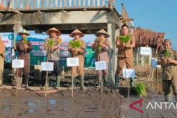 Pemkab Bangka Tengah motivasi petani budidayakan padi beras merah
