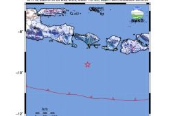 BMKG: Rangkaian gempa di Bali kurangi akumulasi energi besar