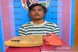 Pengedar ganja di Madina ditangkap polisi