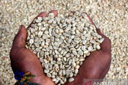 Dari fotografi, Gusti Tanati kini miliki usaha kopi dan galeri foto