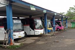 Terminal Bus Mandala Lebak belum terlihat lonjakan pemudik