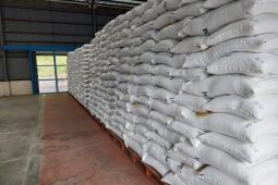 Bulog optimalkan serapan gabah dan beras petani di Trenggalek