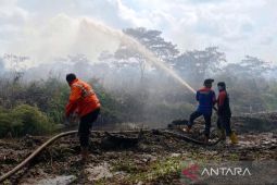 10 Hektare perkebunan di Aceh Barat terbakar