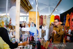 Wakil Wali Kota Tangsel harap pameran dongkrak daya saing produk lokal