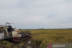 Bendung Gerak Sungai Talake bantu penuhi pangan IKN